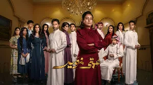 مشاهدة مسلسل عمتي نوير 2025